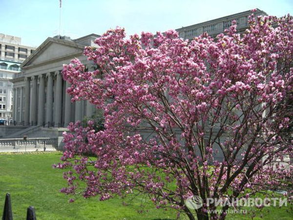 Spring comes to Washington - Sputnik International