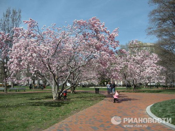 Spring comes to Washington - Sputnik International