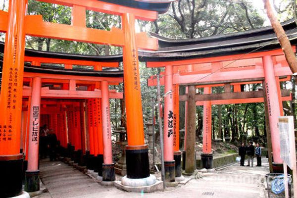 Kyoto, city of temples and geishas - Sputnik International