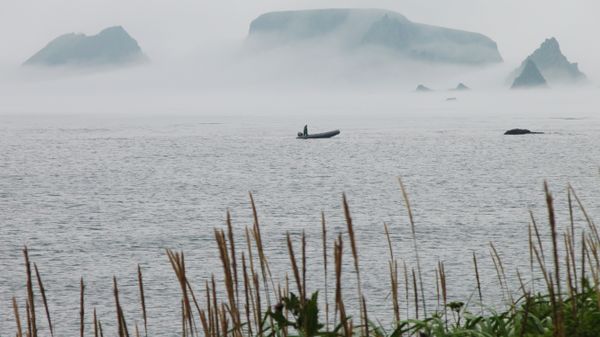 South Kurils - Sputnik International