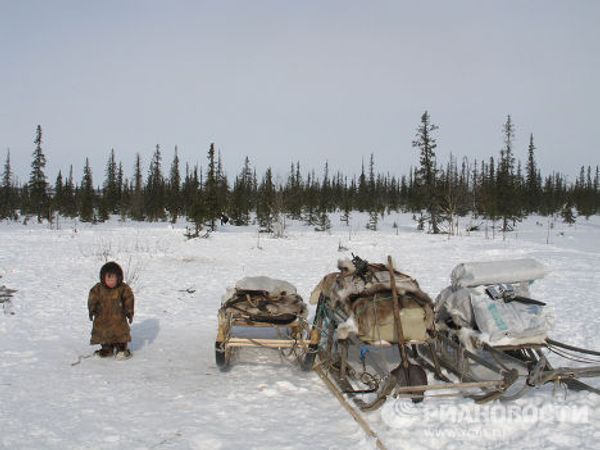Census a challenge in the remote areas of Yamal Census a challenge in the remote areas of Yamal - Sputnik International