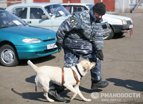 Dogs and their owners face off - Sputnik International
