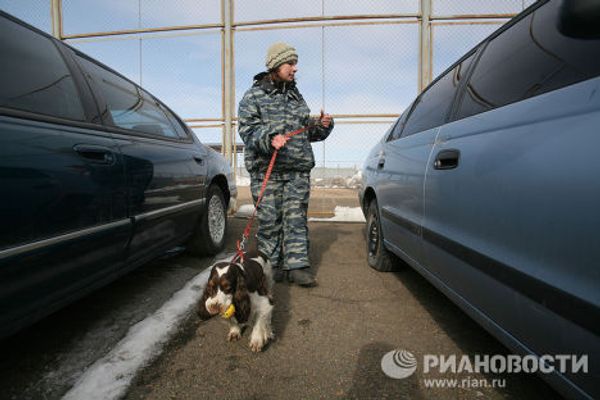 Dogs and their owners face off - Sputnik International