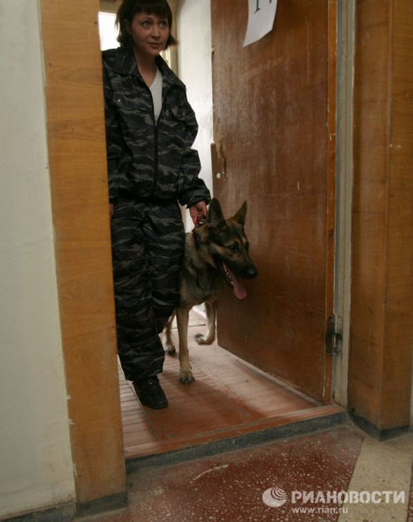 Dogs and their owners face off - Sputnik International