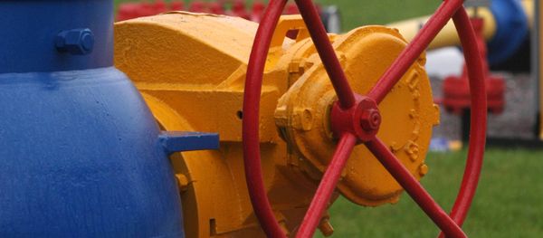 The IMF told Ukraine to increase gas prices by four times starting April 1. - Sputnik International