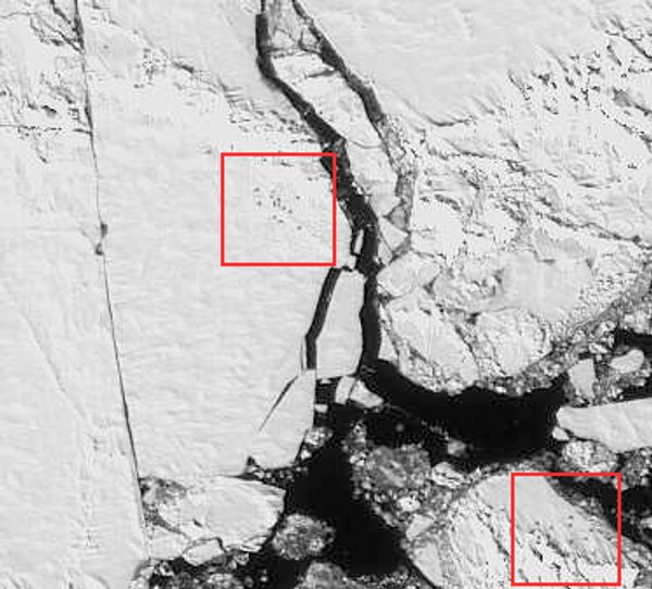 The Arctic as seen from space and Earth - Sputnik International