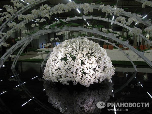 Floral delights at Floralies of Ghent Floral delights at Floralies of Ghent - Sputnik International