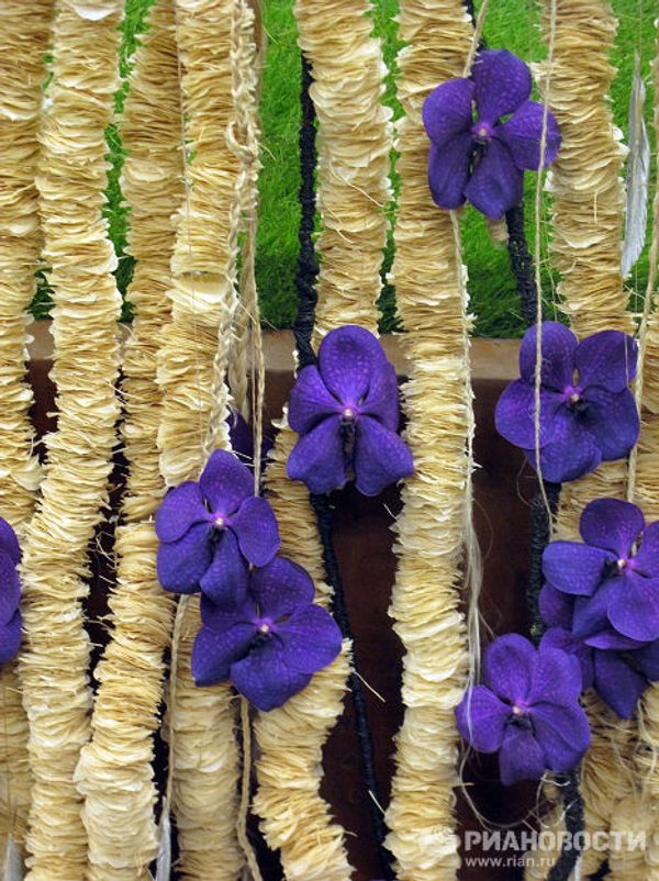 Floral delights at Floralies of Ghent Floral delights at Floralies of Ghent - Sputnik International