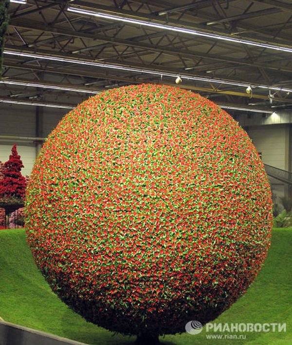 Floral delights at Floralies of Ghent Floral delights at Floralies of Ghent - Sputnik International