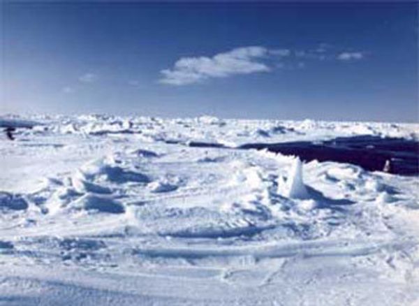 Arctic research may be threatened by global cooling - scientist Arctic research may be threatened by global cooling - scientist - Sputnik International