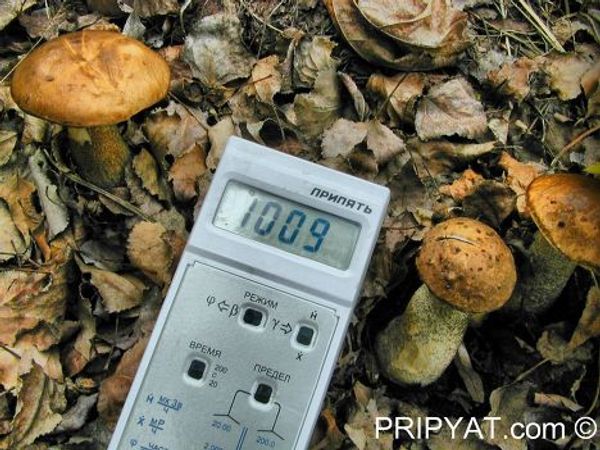 Speculation and legends about Chernobyl: 24 years since the nuclear disaster - Sputnik International