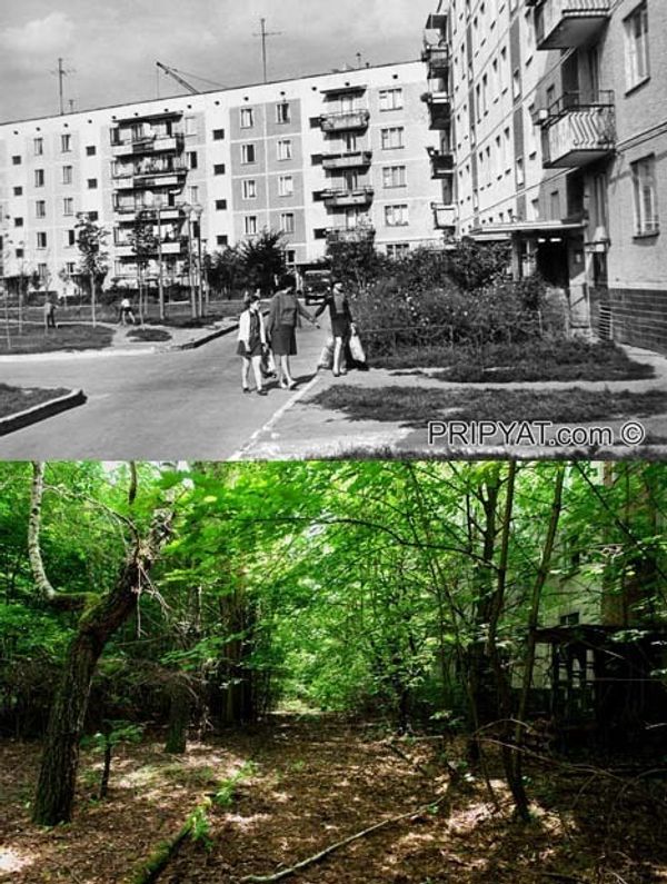 Speculation and legends about Chernobyl: 24 years since the nuclear disaster - Sputnik International