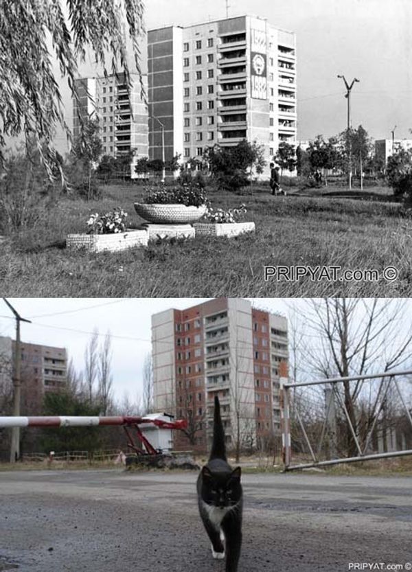 Speculation and legends about Chernobyl: 24 years since the nuclear disaster - Sputnik International
