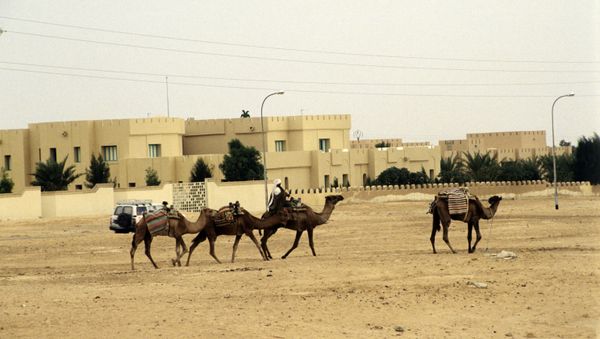 The UN Security Council has called for the UN Mission for the Referendum in Western Sahara (MINURSO) to be permitted to carry out its mandate in full capacity. - Sputnik International