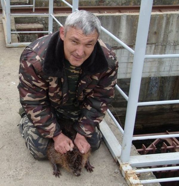 Rescuing a beaver - Sputnik International