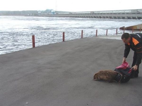 Rescuing a beaver - Sputnik International
