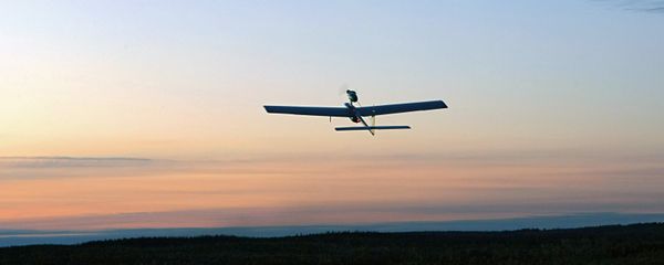 US Senator Dianne Feinstein will introduce a bill, aimed to protect US plane passengers by improving drone safety laws in the country. - Sputnik International