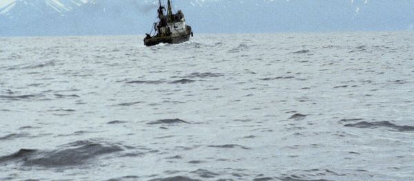 Fishing vessel near the Kamchatka shores - Sputnik International