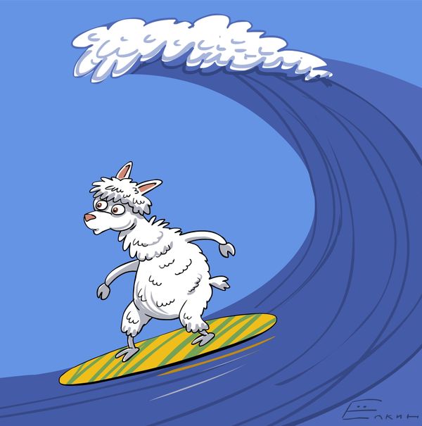 Peruvian alpaca learns to surf  - Sputnik International