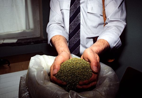 Drug Production in Afghanistan - Sputnik International