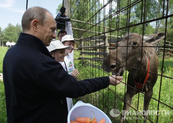 Vladimir Putin visiting Losiny Ostrov (Elk Island) National Park  - Sputnik International