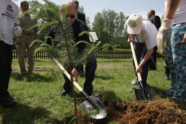 Vladimir Putin visiting Losiny Ostrov (Elk Island) National Park  - Sputnik International