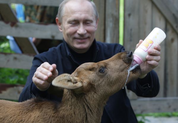 Vladimir Putin visiting Losiny Ostrov (Elk Island) National Park  - Sputnik International
