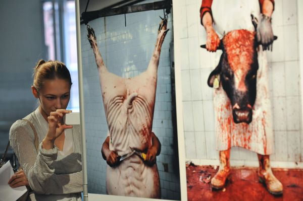 World Press Photo 2010 exhibition opens in Moscow - Sputnik International