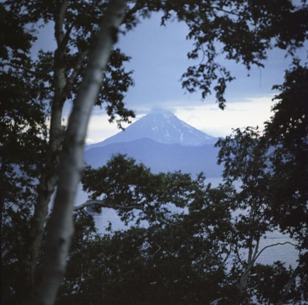 Kamchatka - Sputnik International