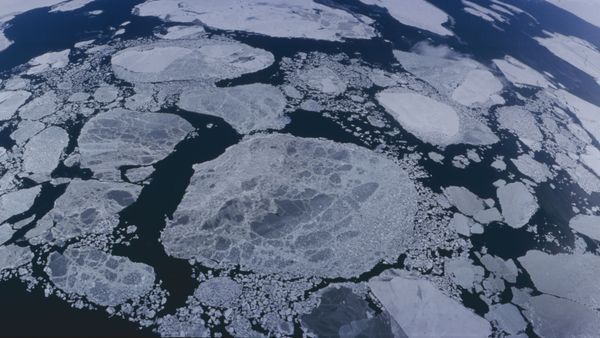The Bering Strait - Sputnik International