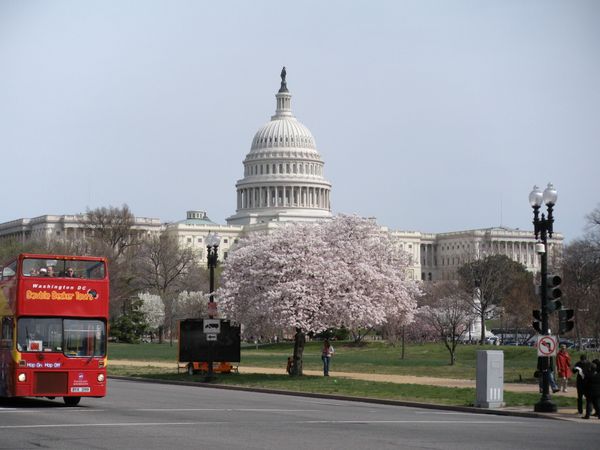 The White House - Sputnik International
