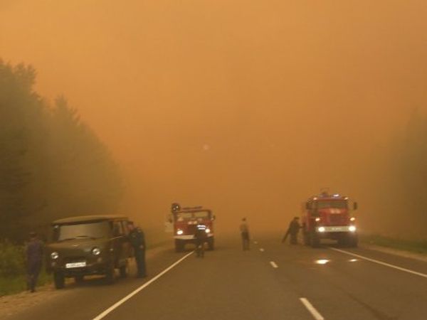 Heat and drought spark forest fires in Russia - Sputnik International