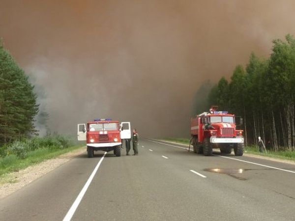 Heat and drought spark forest fires in Russia - Sputnik International