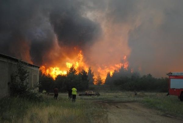 Heat and drought spark forest fires in Russia - Sputnik International