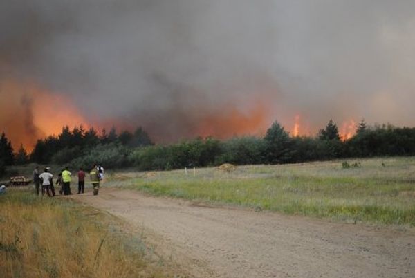 Heat and drought spark forest fires in Russia - Sputnik International