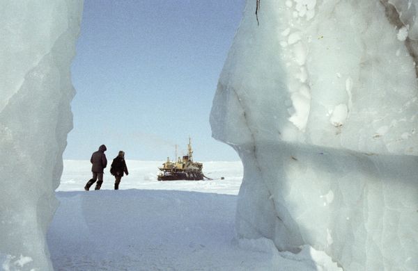 Arctic  - Sputnik International