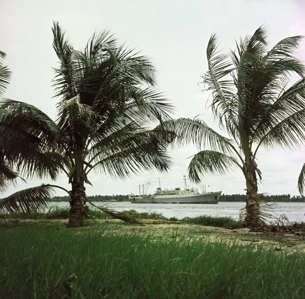Nigerian coast line - Sputnik International
