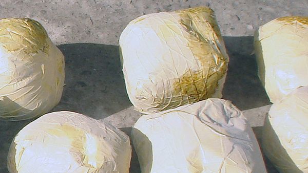 Tajik forces seize almost 100 kg of drugs on Afghan border - Sputnik International