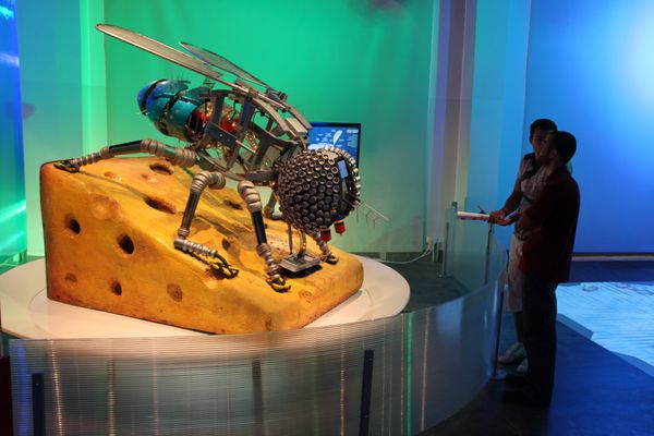 Robotic creatures replace real animals at new zoo - Sputnik International
