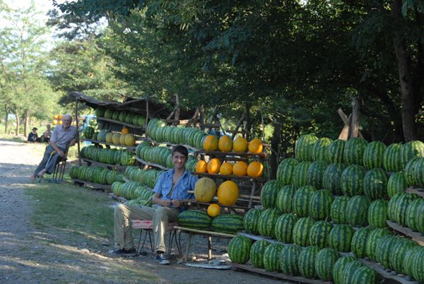 The PACE monitors are also expected to meet with representatives of the Georgian parliament, non-governmental organizations, embassies, and local branches of international organizations. Photo: Fruit market in Georgia - Sputnik International