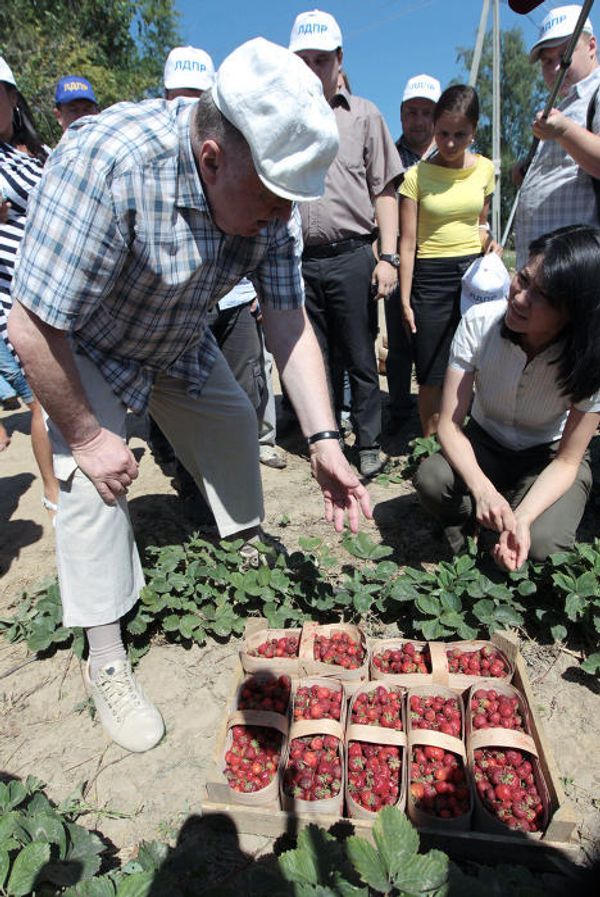 Leading Russian political figures in gardens and fields  - Sputnik International