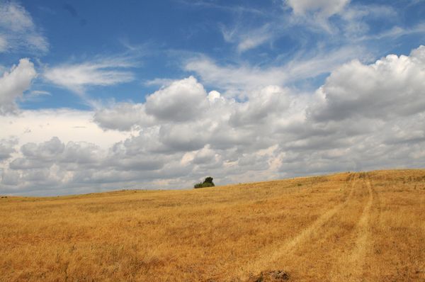 Drought may spur inflation in Russia Drought may spur inflation in Russia - Sputnik International