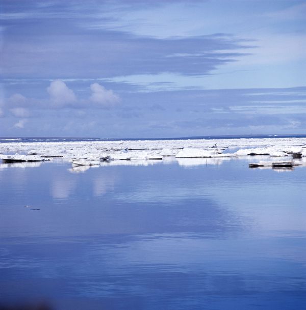 The Arctic Ocean - Sputnik International