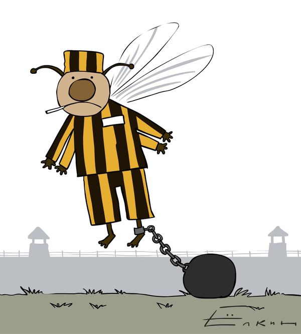 Bees under arrest Bees under arrest - Sputnik International