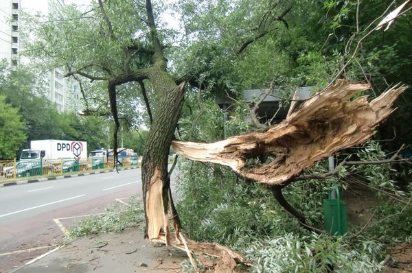Seven killed by storms in northern Russia - Sputnik International