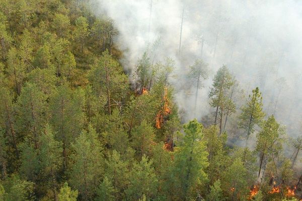 Wildfires are threatening more than 200 villages in the Russian regions of Voronezh, Moscow, Nizhny Novgorod, as well as in the republic of Mordovia... - Sputnik International