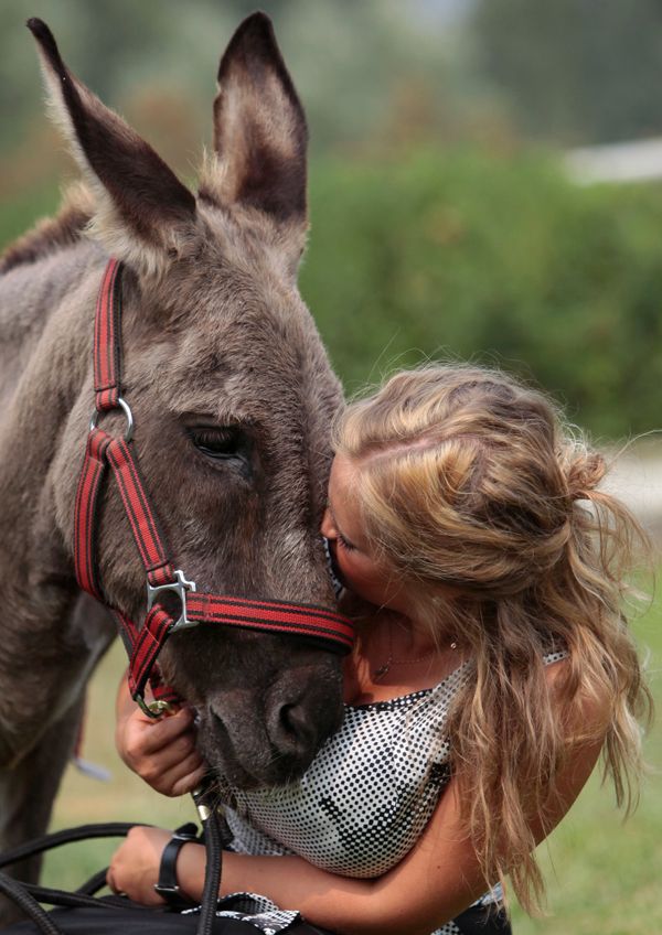 Parasailing donkey at Kremlin equestrian school - Sputnik International