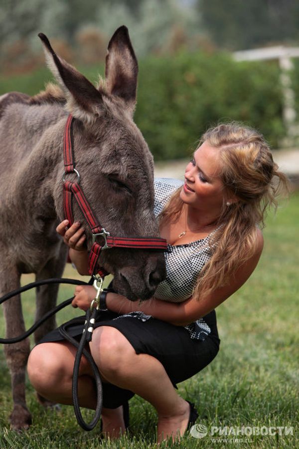 Parasailing donkey at Kremlin equestrian school - Sputnik International