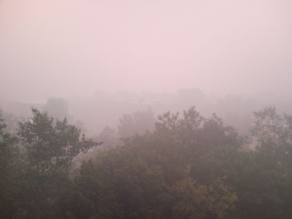 Moscow and the Moscow Region smothered in smoke - Sputnik International