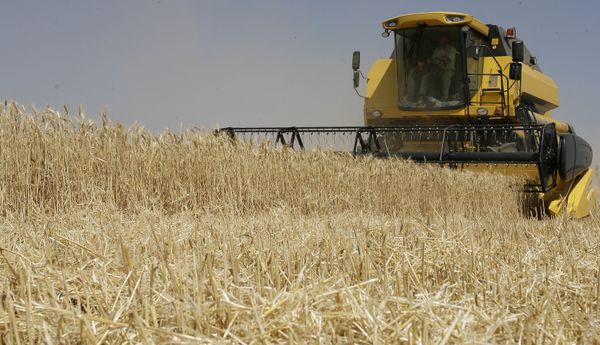 Moscow has moved to request that Kazakhstan and Belarus suspend grain exports due to the worsening drought... - Sputnik International